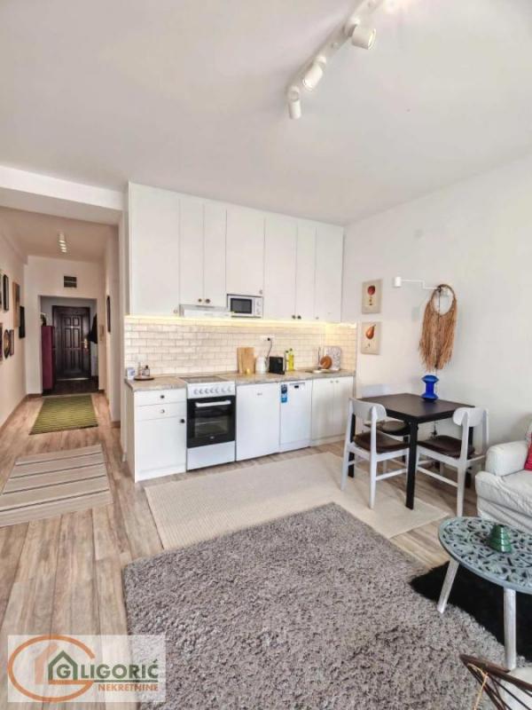 Slika 7 - Cara Dušana, Dvosoban stan za izdavanje, 40m2, 800€