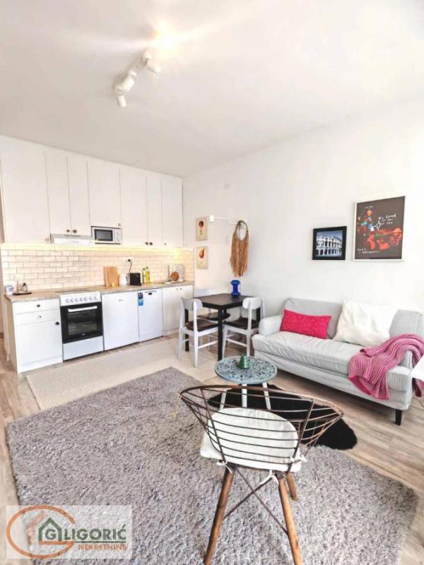 Slika 2 - Cara Dušana, Dvosoban stan za izdavanje, 40m2, 800€