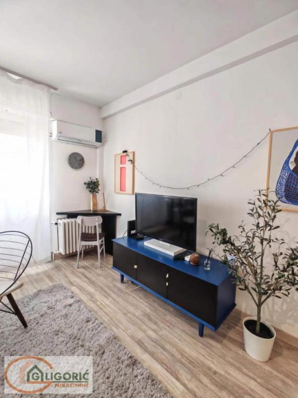 Slika 10 - Cara Dušana, Dvosoban stan za izdavanje, 40m2, 800€