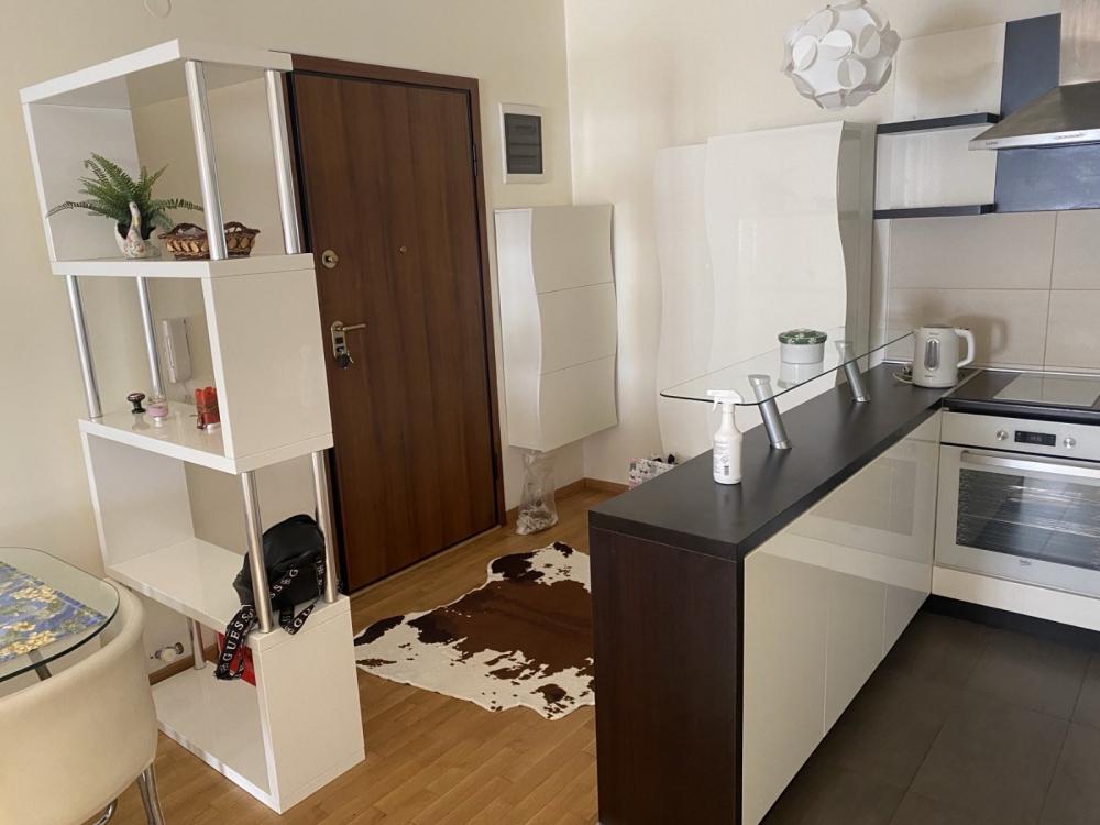 Slika 3 - Dragiše Lapčevića, Jednoiposoban stan za izdavanje, 42m2, 700€