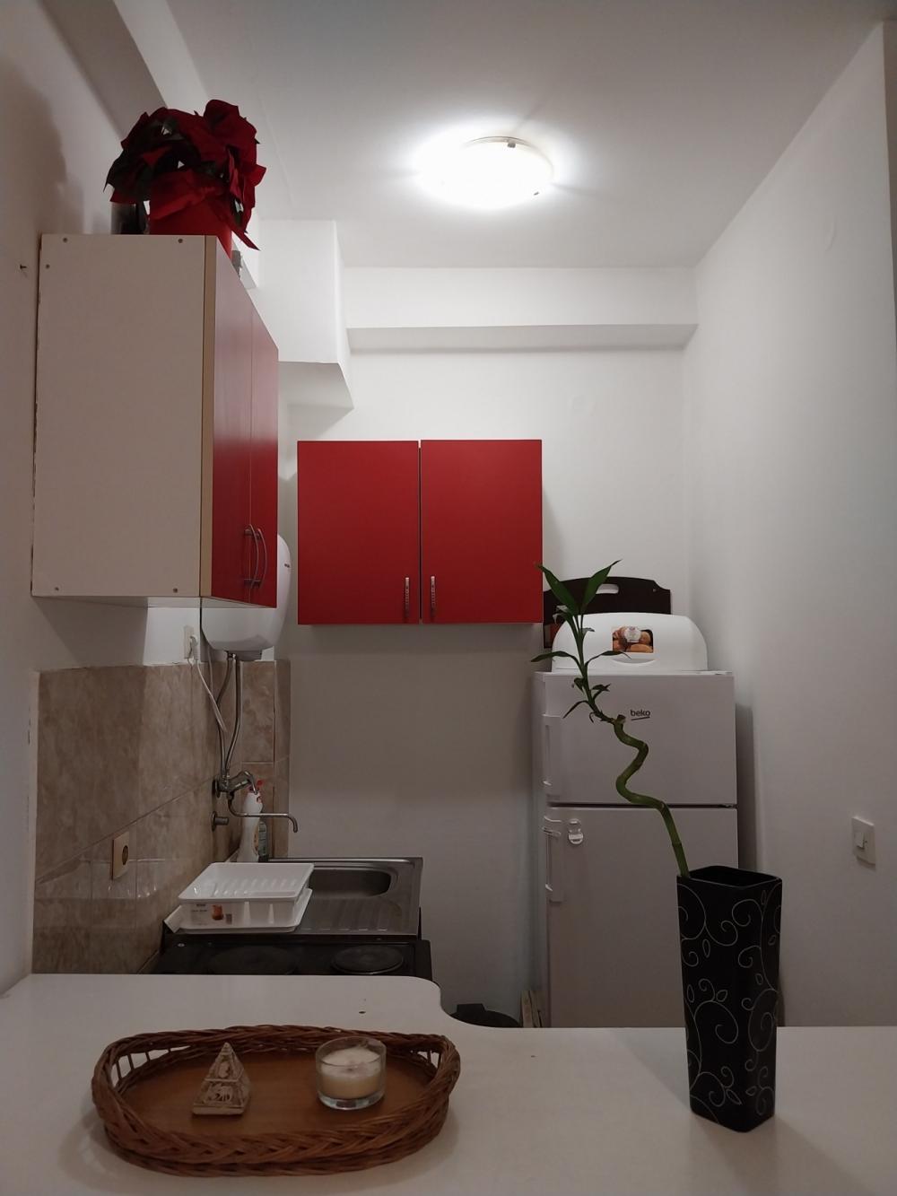 Slika 3 - Futoski put 40A, Jednoiposoban stan za izdavanje, 31m2, 250€