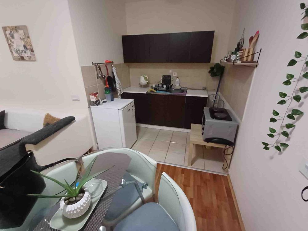 Slika 4 - Živka Petrovića, Jednoiposoban stan za izdavanje, 38m2, 500€