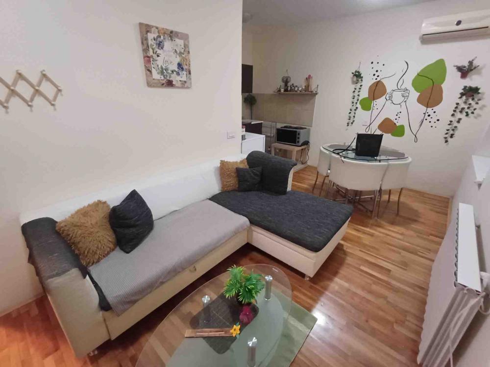 Glavna slika -Živka Petrovića, Jednoiposoban stan za izdavanje, 38m2, 500€
