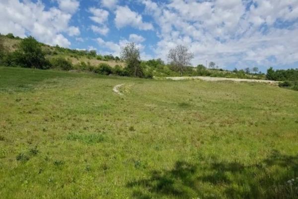 Slika 2 - Šakotinac Plac na prodaju, Beočin, 23.000€