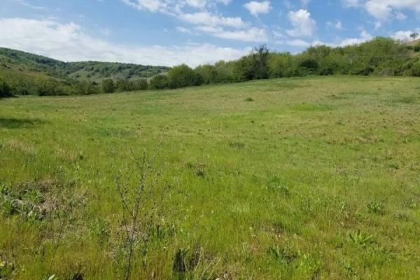 Slika 3 - Šakotinac Plac na prodaju, Beočin, 23.000€