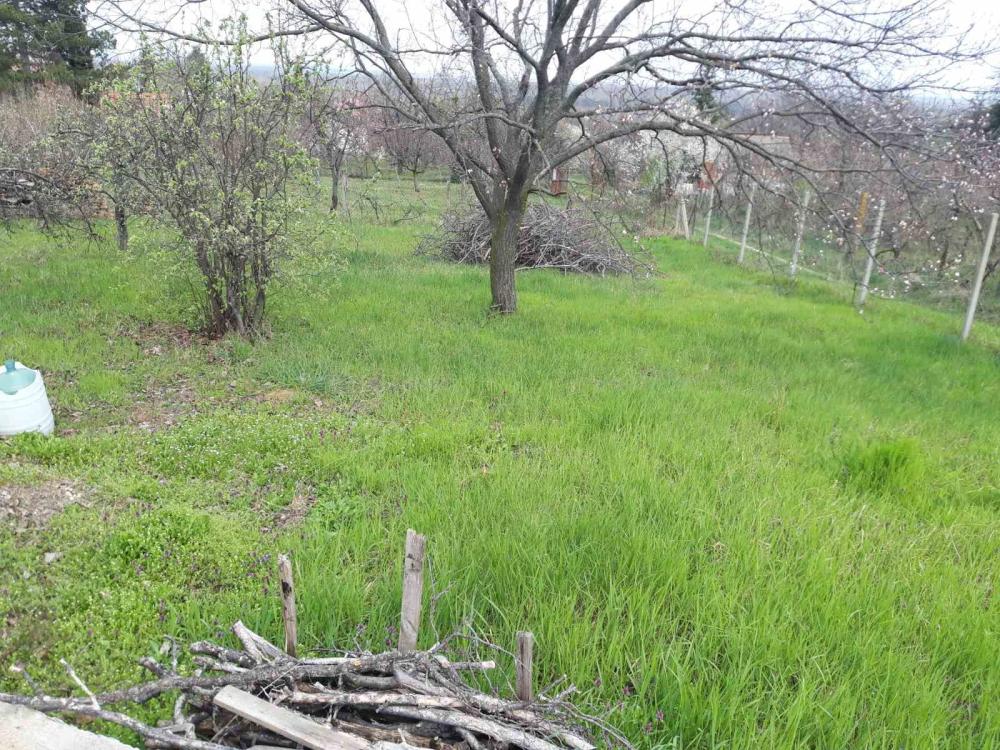 Slika 4 -  Plac na prodaju, Petrovaradin, 134.740€