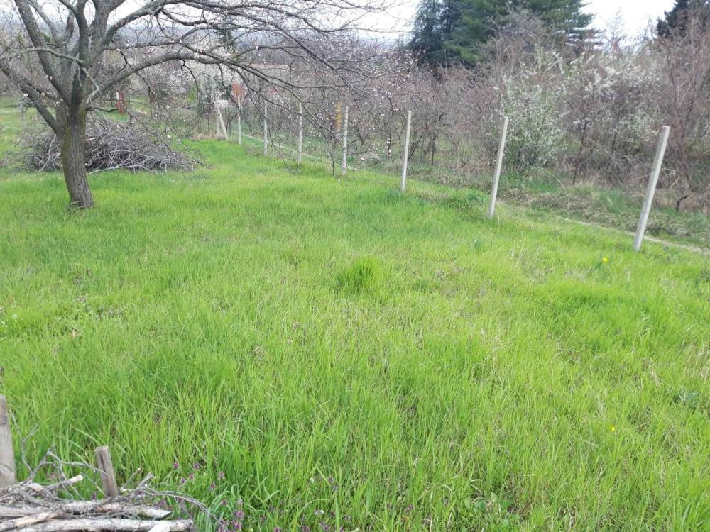 Slika 5 -  Plac na prodaju, Petrovaradin, 134.740€