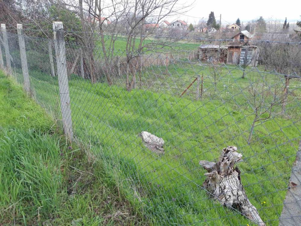 Slika 8 -  Plac na prodaju, Petrovaradin, 134.740€