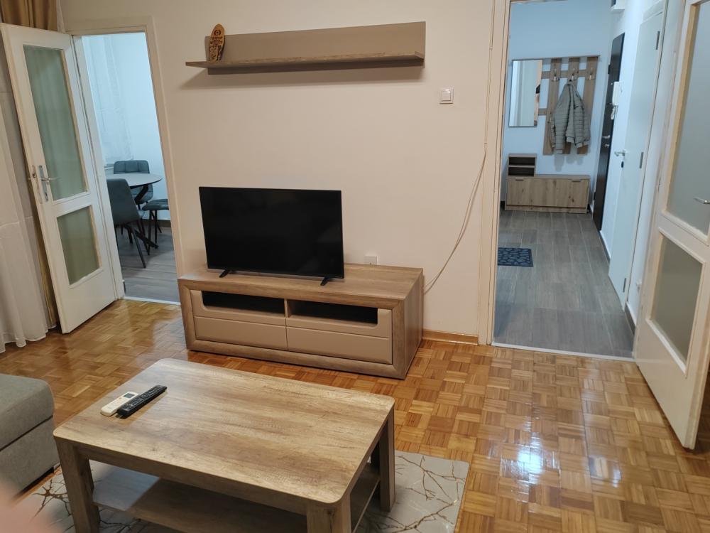 Slika 2 - Vojvode Stepe, Dvosoban stan za izdavanje, 50m2, 550€