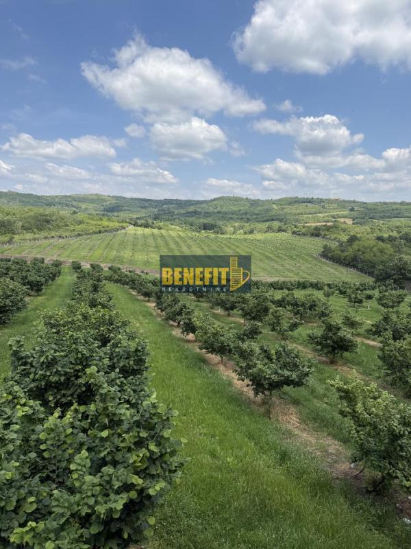 Slika 5 -  Kuća na prodaju, 200m2, 800.000€