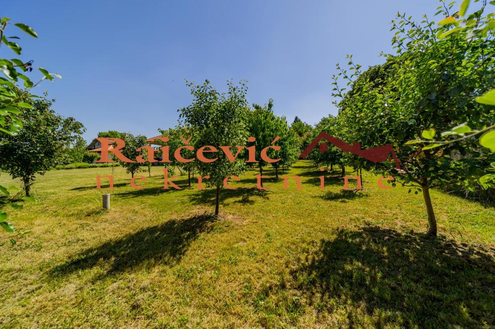 Slika 3 - Mali Pozarevac,  Kuća na prodaju, 257m2, 375.000€