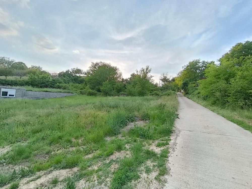 Slika 5 -  Plac na prodaju, Petrovaradin, Alibegovac, 105.000€