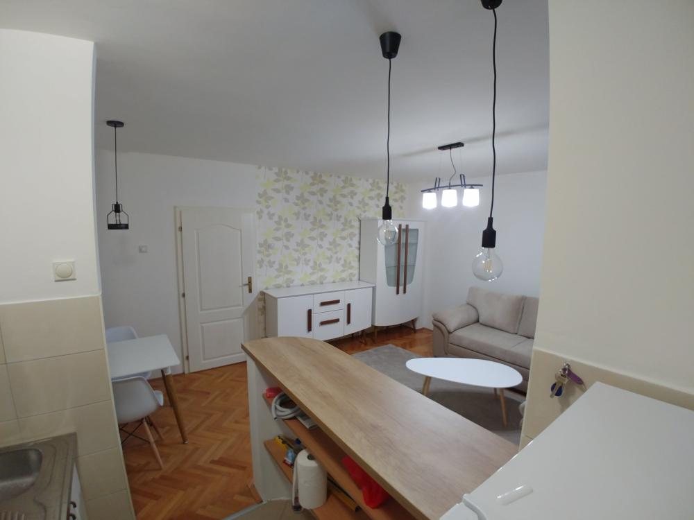 Slika 8 - Zelengorska, Jednoiposoban stan za izdavanje, 45m2, 350€