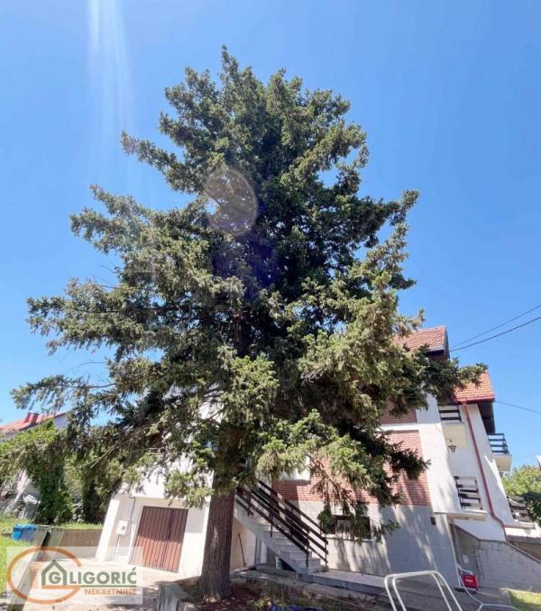 Slika 2 -  Kuća na prodaju, 453m2, 365.000€