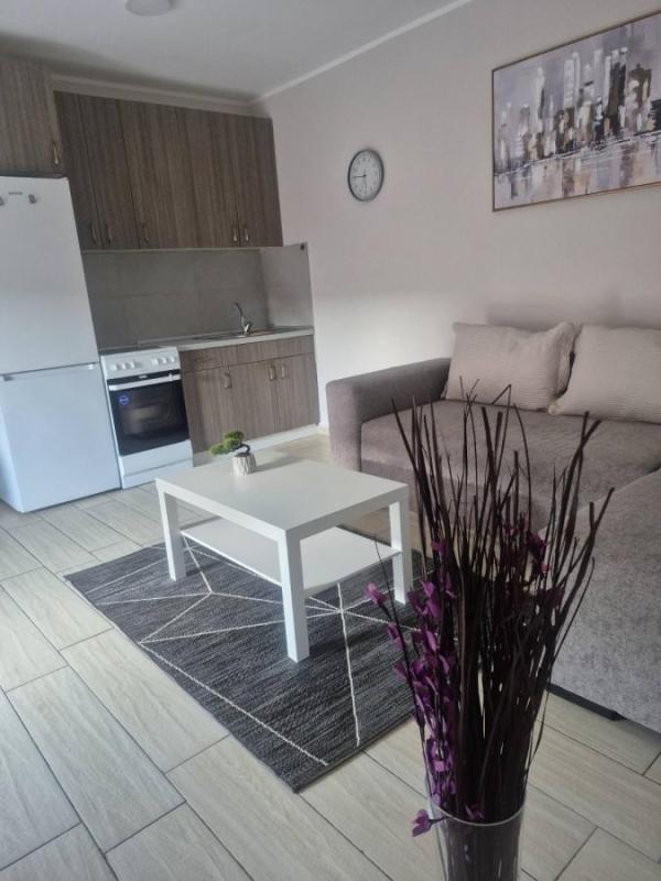 Slika 3 - Jednoiposoban stan za izdavanje, 42m2, 350€