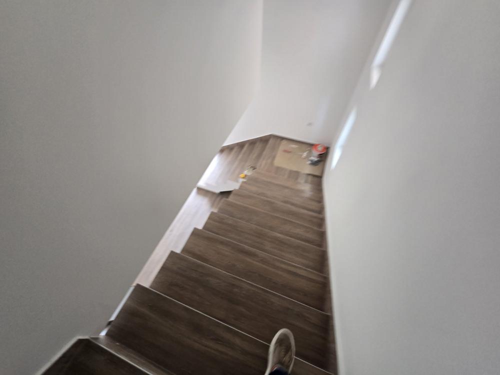 Slika 5 - Josifa Pančića, Kuća za izdavanje, 180m2, 1.000€