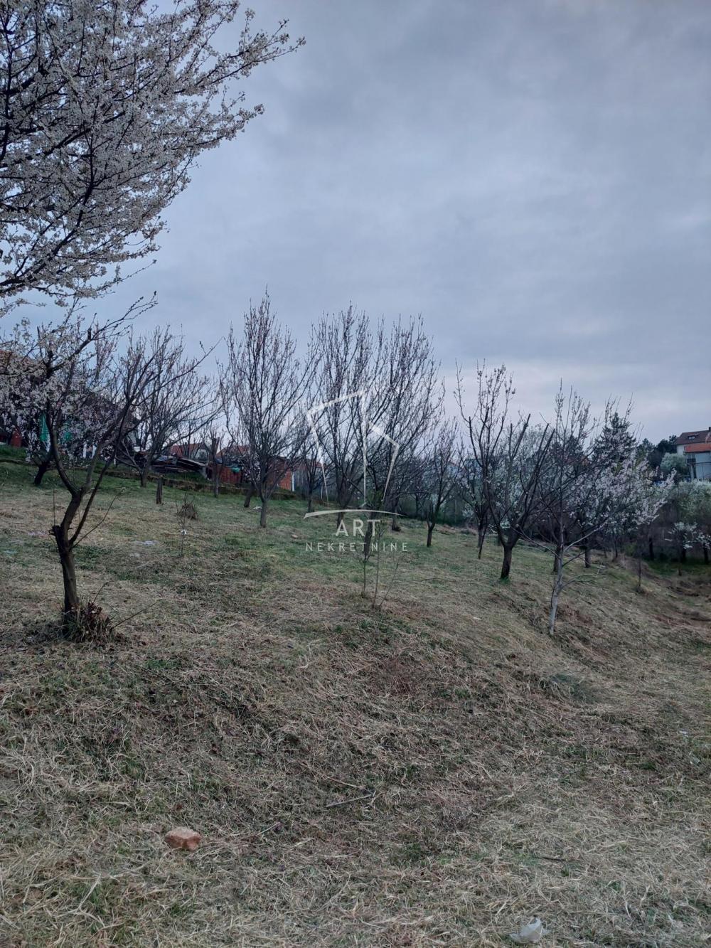 Glavna slika -Župana Tihomira Plac na prodaju, Voždovac, Zuce, 90.000€