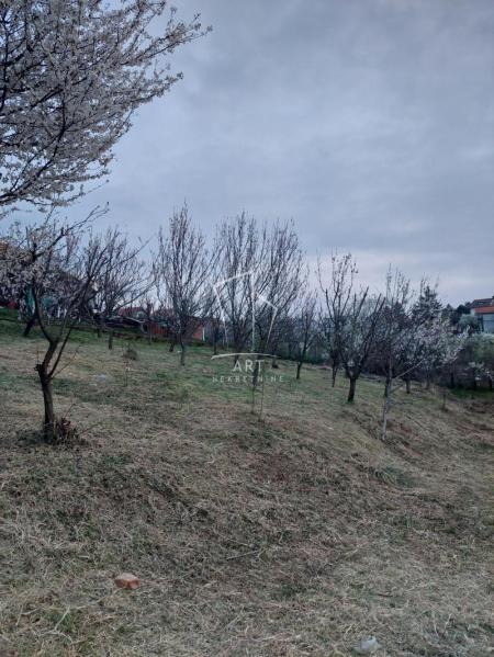 glavna slika oglasa