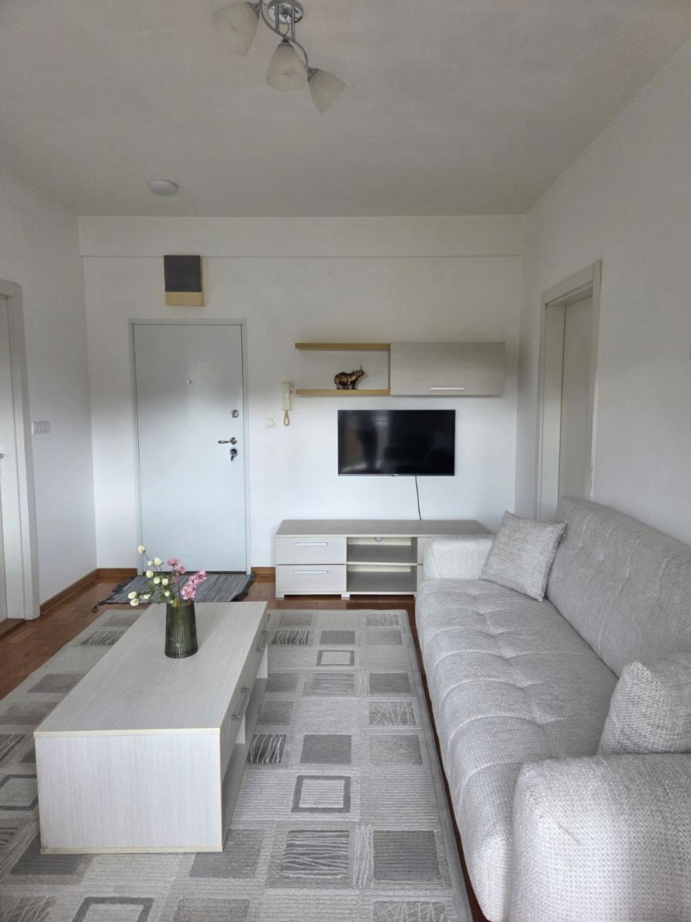 Slika 1 - Vespučijeva, Dvosoban stan za izdavanje, 45m2, 550€