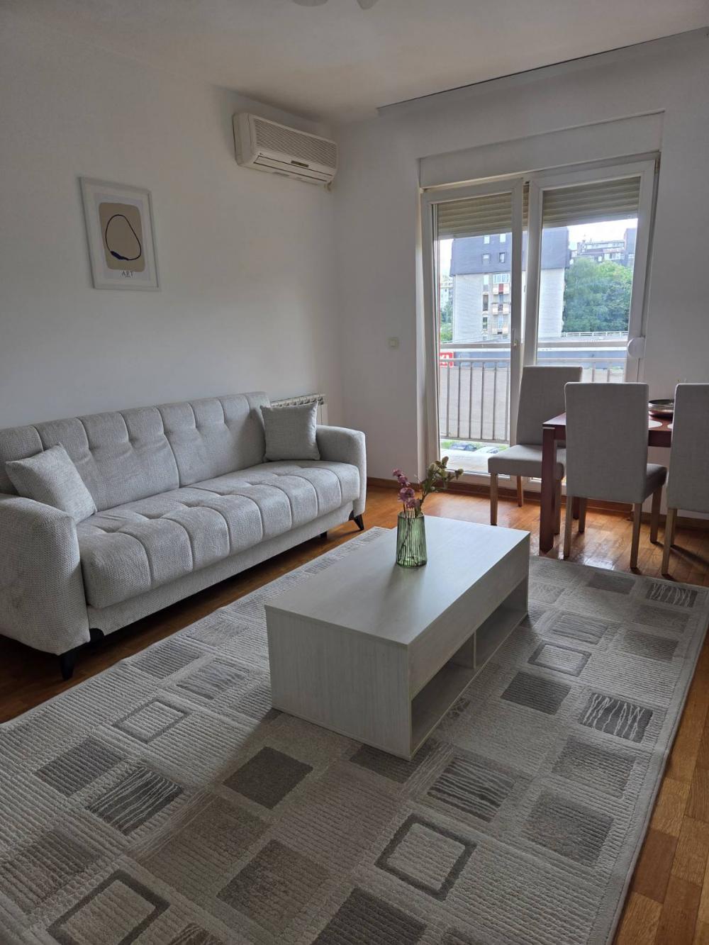 Slika 2 - Vespučijeva, Dvosoban stan za izdavanje, 45m2, 550€