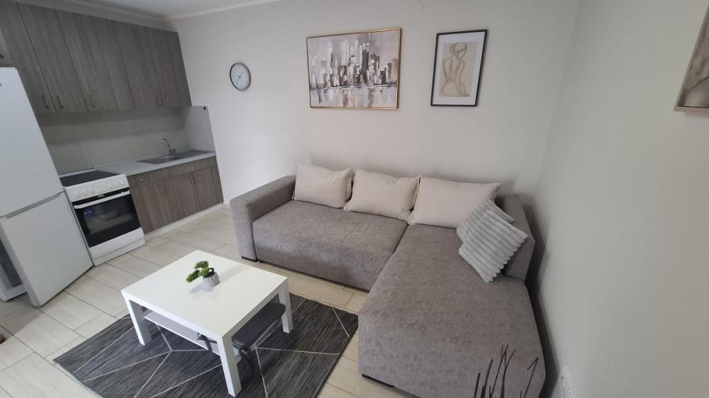 Slika 7 - Jednoiposoban stan za izdavanje, 42m2, 350€