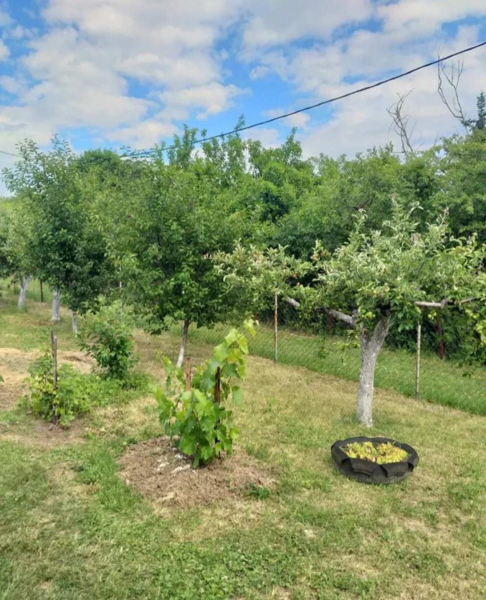 Slika 6 - Zaklopača,  Kuća na prodaju, 90m2, 99.000€