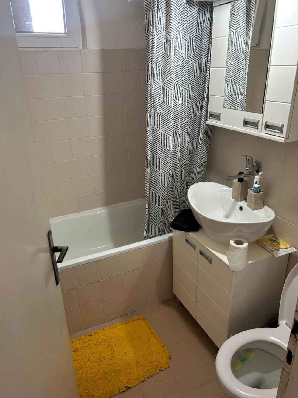 Slika 5 - Bulevar Maršala Tolbuhina, Dvosoban stan za izdavanje, 50m2, 600€