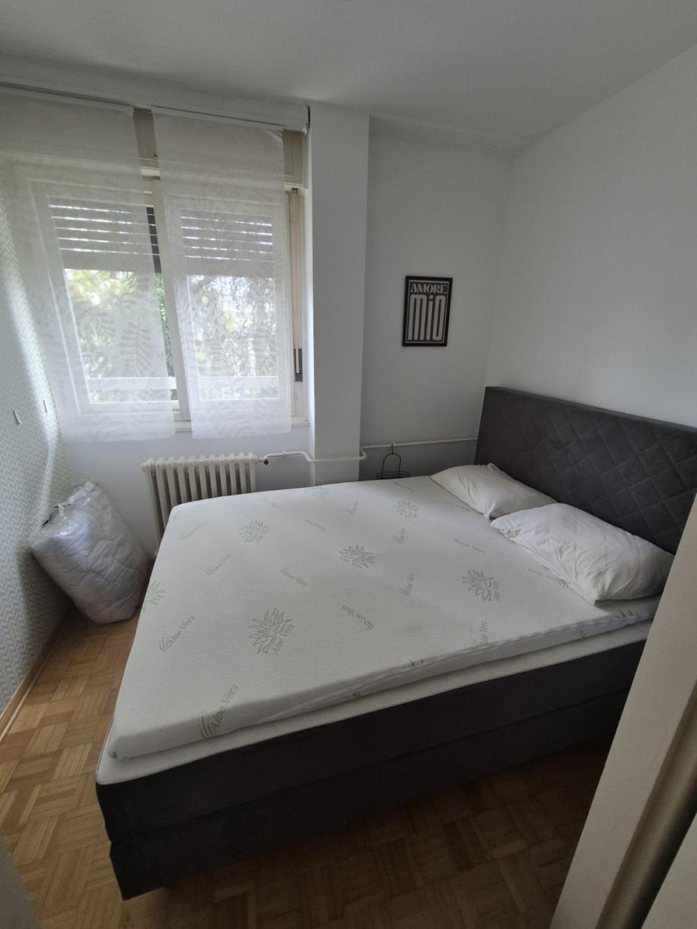 Slika 3 - Kej Oslobođenja, Dvosoban stan za izdavanje, 54m2, 600€