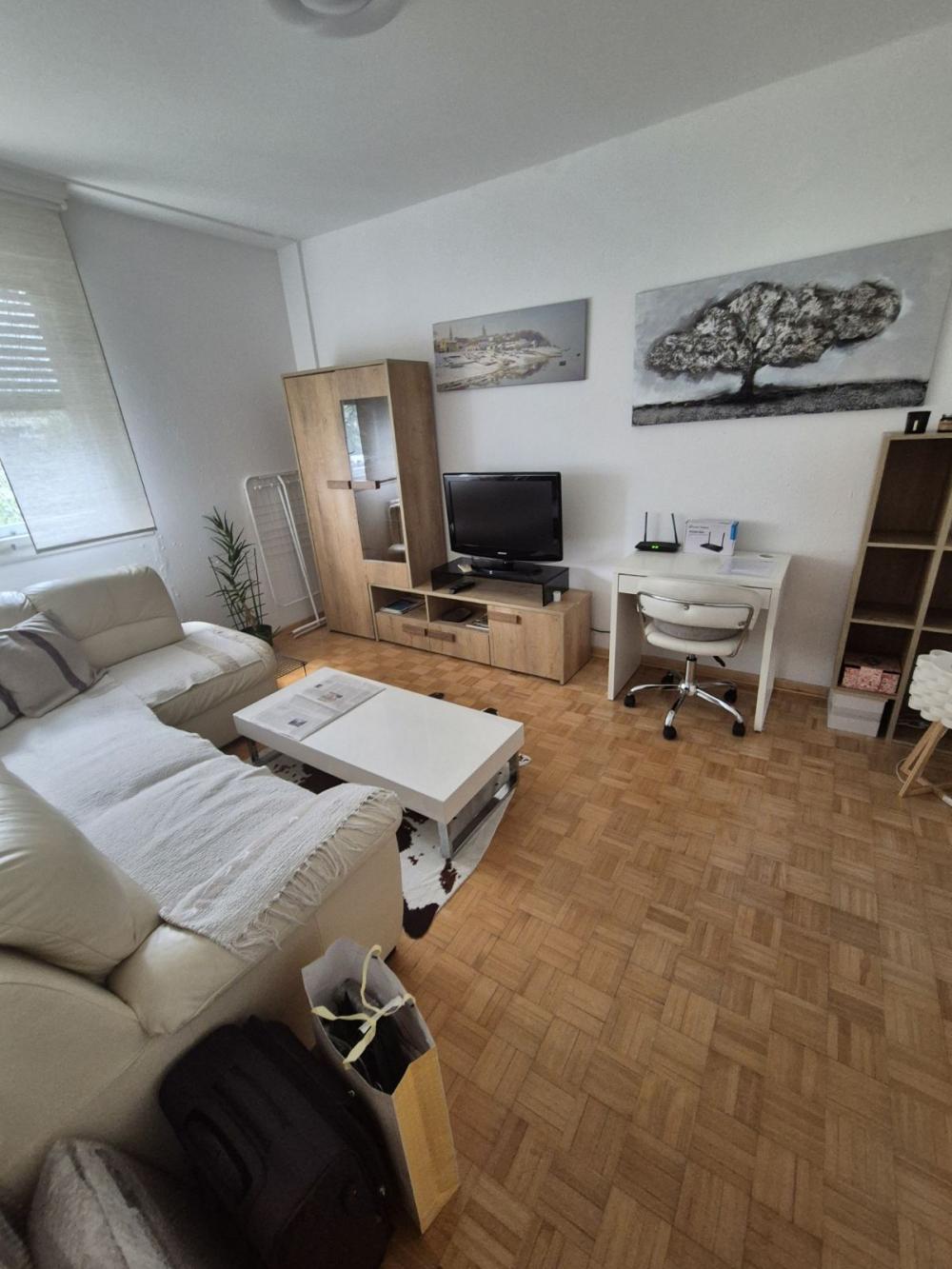 Slika 1 - Kej Oslobođenja, Dvosoban stan za izdavanje, 54m2, 600€