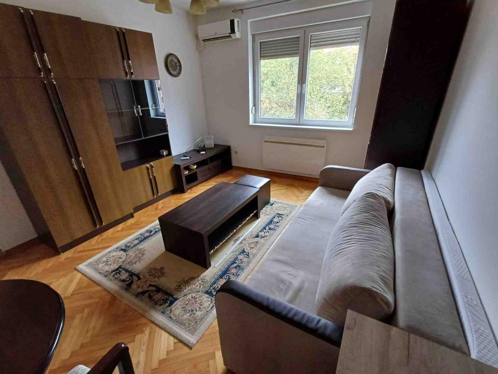 Slika 1 - Mileševska, Dvosoban stan za izdavanje, 43m2, 500€