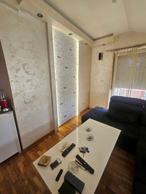 Slika 6 - Zivka Petrovica, Trosoban stan za izdavanje, 70m2, 800€