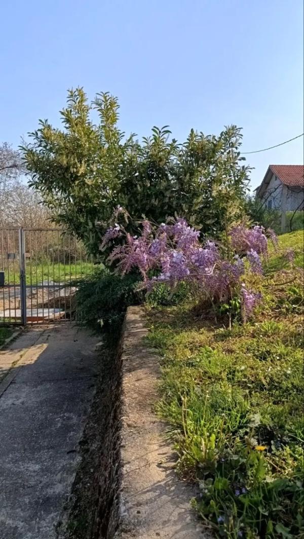 Slika 3 - Artiljevo, Kuća na prodaju, 197m2, 220.000€