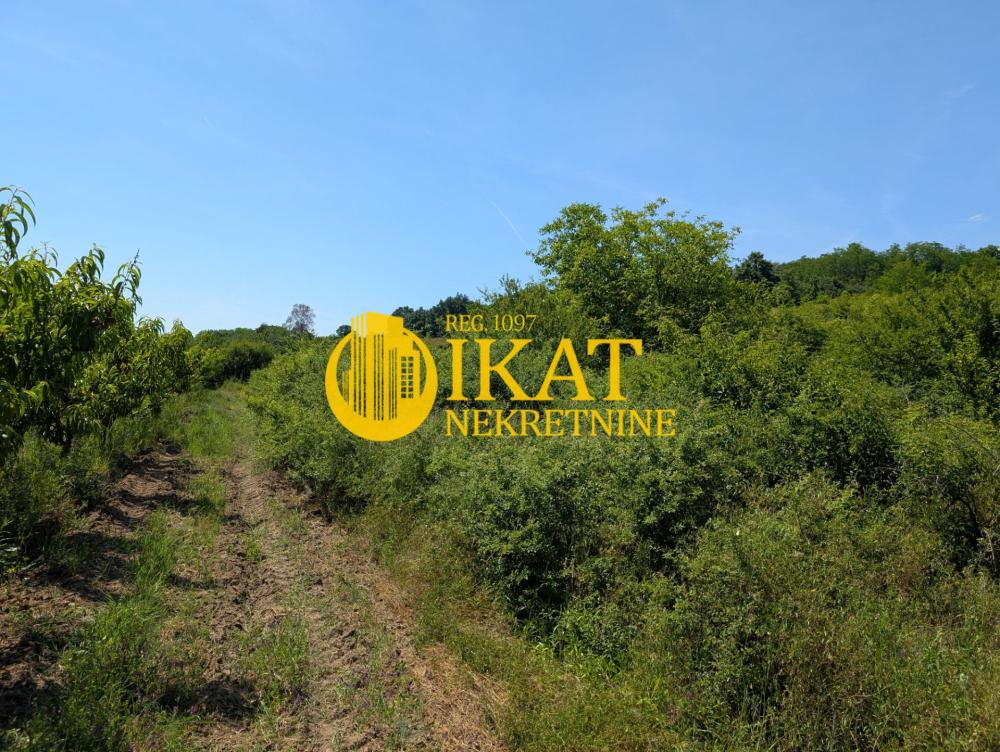 Slika 2 -  Plac na prodaju, Sopot, Mali Požarevac, 56.000€