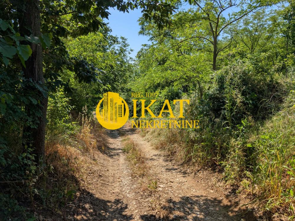 Slika 3 -  Plac na prodaju, Sopot, Mali Požarevac, 56.000€