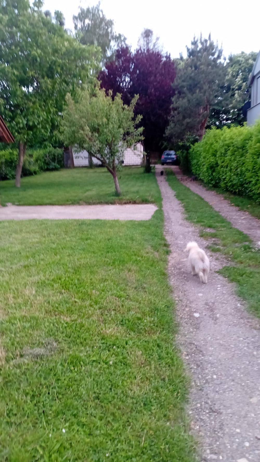 Slika 1 - Put za bošnjake 1 deo, br 9, Avala, Voždovac,  Kuća na prodaju, 200m2, 149.900€
