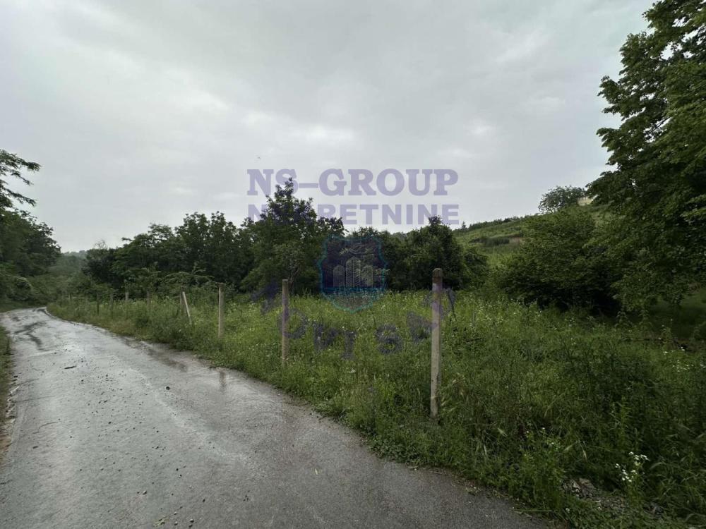 Slika 2 -  Plac na prodaju, sremska kamenica , 41.200€