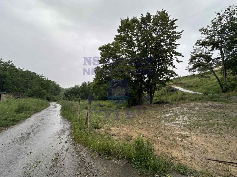 Slika 4 -  Plac na prodaju, sremska kamenica , 41.200€