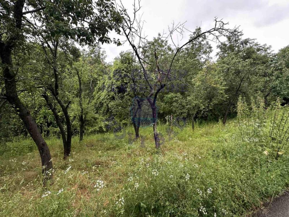 Slika 3 -  Plac na prodaju, sremska kamenica, 31.200€