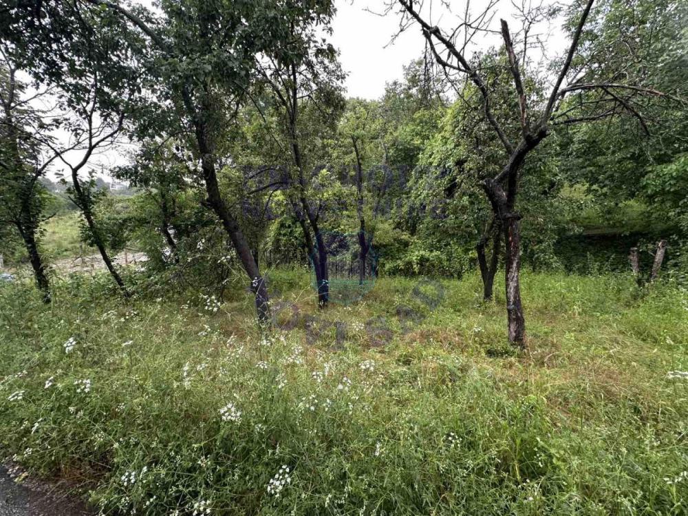 Glavna slika - Plac na prodaju, sremska kamenica, 31.200€