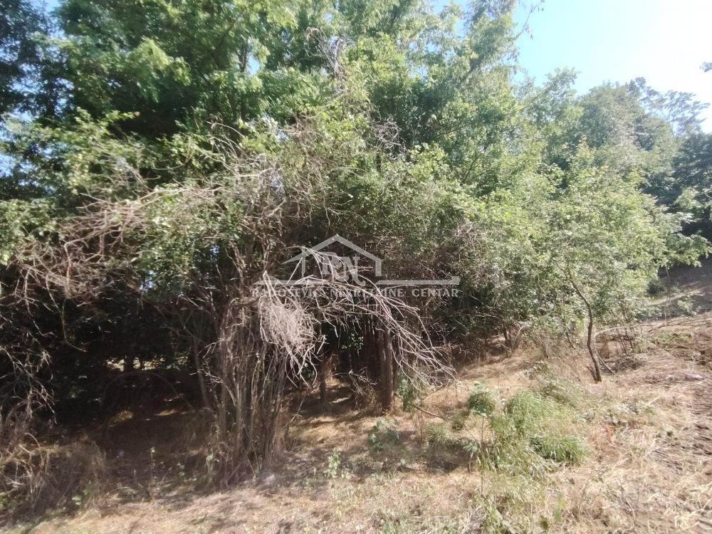 Slika 7 - Alekse Žujovića,  Kuća na prodaju, 54m2, 34.000€