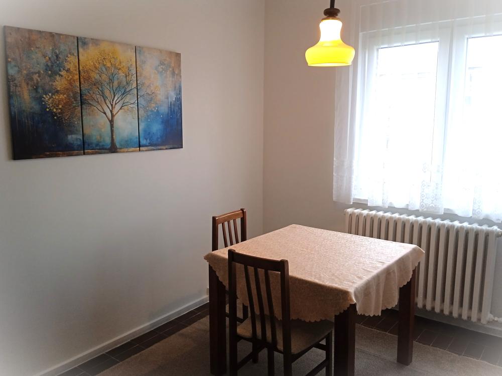 Slika 4 - Preradovićeva 139, Petrovaradin, Jednosoban stan za izdavanje, 44m2, 260€