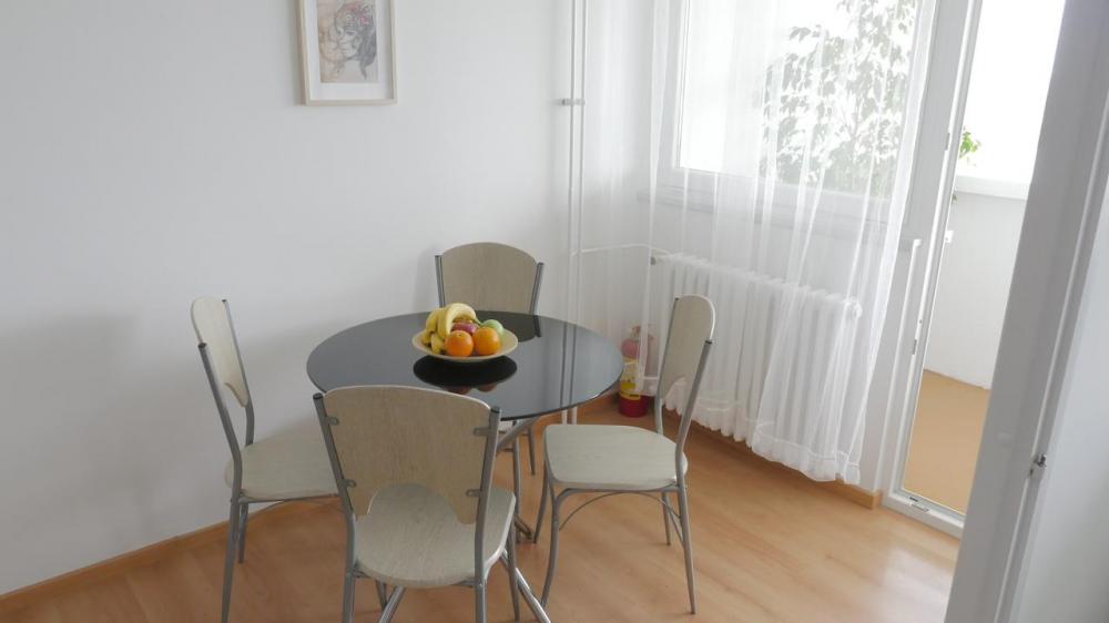 Slika 5 - Klare Cetkin, Jednosoban stan za izdavanje, 48m2, 500€
