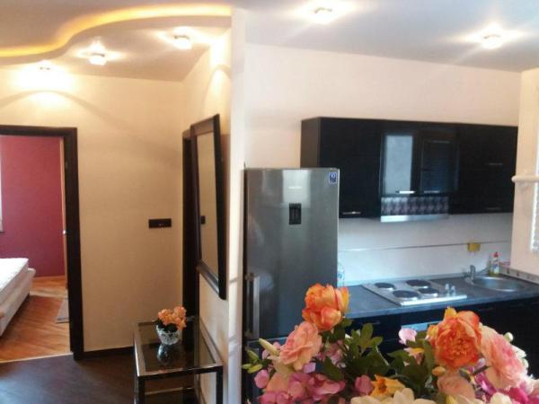 Slika 7 - Veljka Milićevića, Dvosoban stan za izdavanje, 54m2, 650€