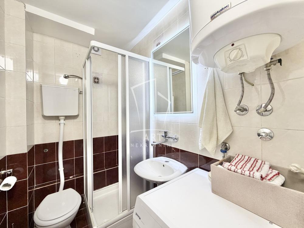 Slika 11 - Vojvode Milenka, Dvosoban stan za izdavanje, 50m2, 750€