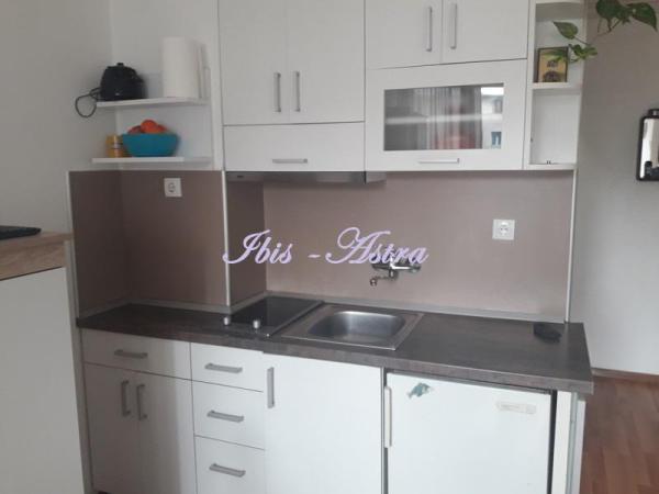Slika 3 - Cvijićeva,  Stan za izdavanje, 23m2, 350€