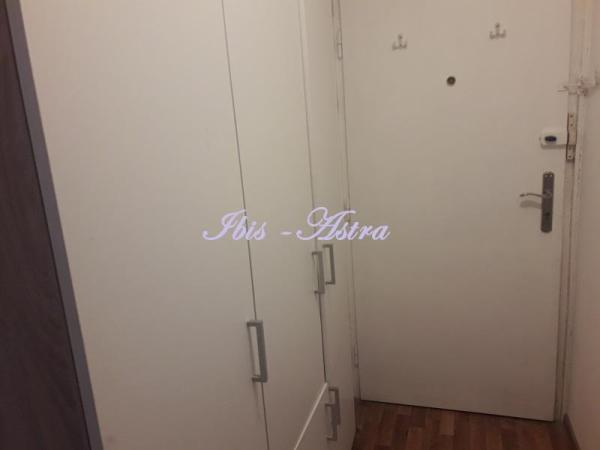 Slika 5 - Cvijićeva,  Stan za izdavanje, 23m2, 350€
