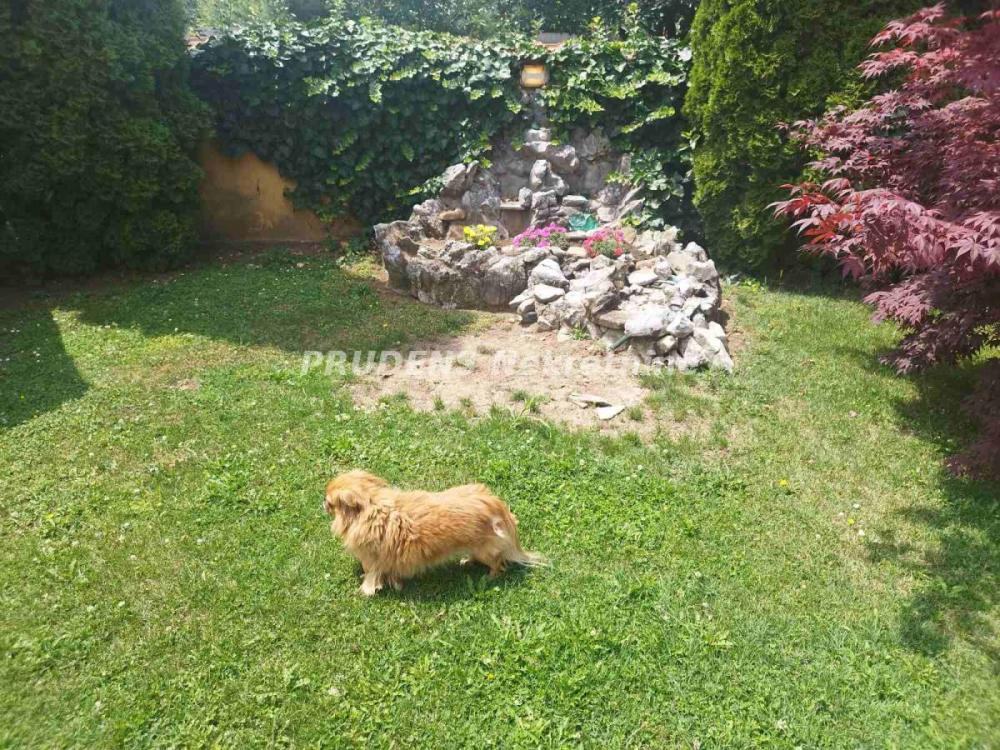 Slika 11 -  Kuća na prodaju, 250m2, 552.000€