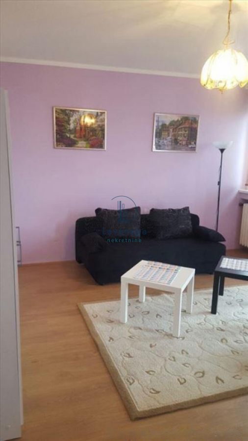 Glavna slika -Ljutice Bogdana, Jednosoban stan za izdavanje, 38m2, 400€