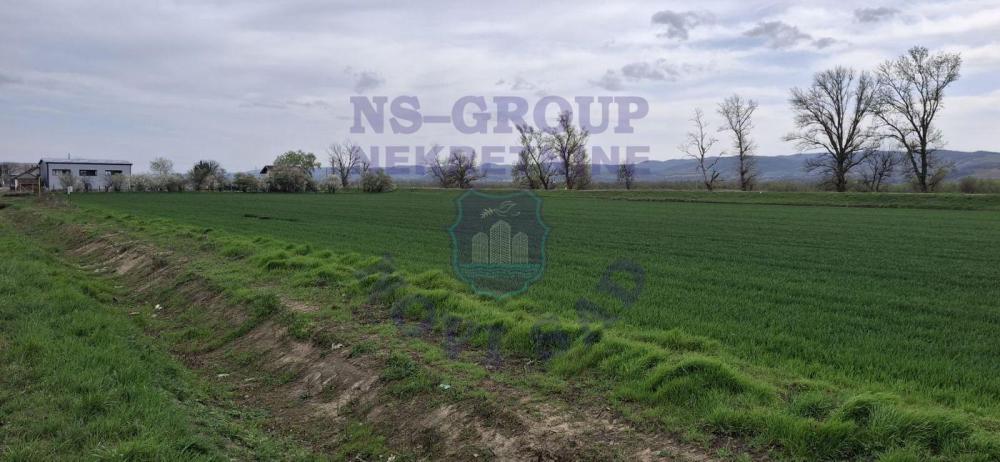 Slika 3 -  Plac na prodaju, Futog, 259.200€