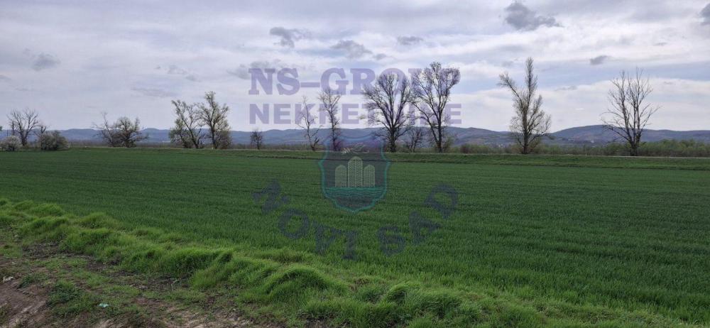 Slika 4 -  Plac na prodaju, Futog, 259.200€